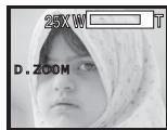 PANASONIC PVGS16 - Digital Zoom Function - 2