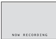 PANASONIC PVGS16 - Recording Pictures from a Card onto a Tape - 3