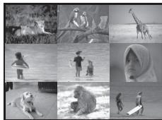 PANASONIC PVGS16 - Multi-Picture Mode - 2