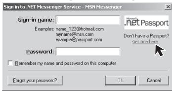 PANASONIC PVGS16 - Type in your Sign-in name and password. - 1