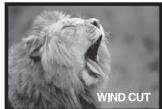 PANASONIC PVGS16 - Set [TAPE RECORDING MENU] >> [RECORDING] >> [WIND CUT] >> [ON]. - 2