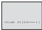 PANASONIC PVGS16 - Adjusting the Sound Volume - 2