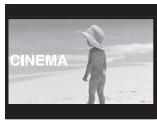 PANASONIC PVGS16 - Set [TAPE RECORDING MENU] >> [RECORDING] >> [CINEMA] >> [ON]. - 2