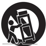 PANASONIC PVGS16 - Important Safeguards - 1