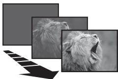 PANASONIC PVGS16 - Fade In - 1