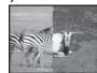 PANASONIC PVGS16 - Digital Effects 1 [EFFECT1] - 3