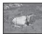 PANASONIC PVGS16 - Digital Effects 1 [EFFECT1] - 4