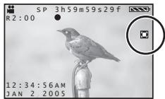 PANASONIC PVGS31 - Digital Zoom Function - 2