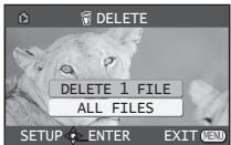 PANASONIC PVGS35 - To Select and Delete Files - 3