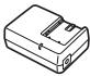 PANASONIC PVGS35 - Standard Accessories - 1