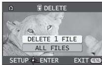 PANASONIC PVGS35 - To Select and Delete All Files - 2