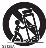 PANASONIC PVGS35 - Important Safety Instructions - 1