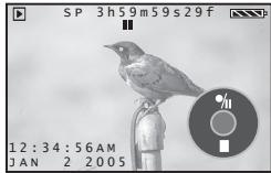 PANASONIC PVGS35 - Recorder: - 1