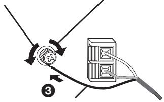 PANASONIC SCHT833V - Catch up - 5