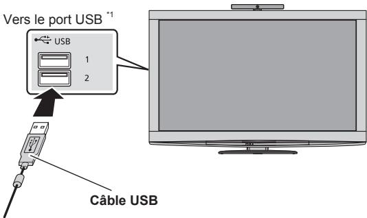PANASONIC TY-CC20W - Connexion - 1