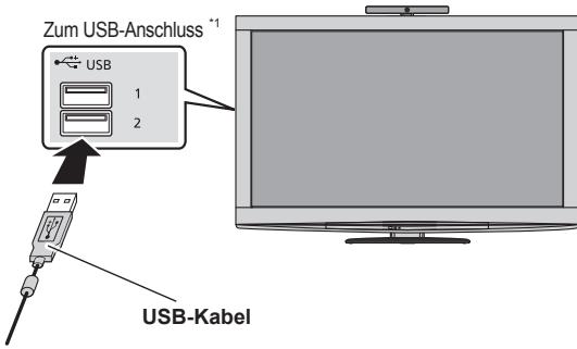 PANASONIC TY-CC20W - Anschluss - 1
