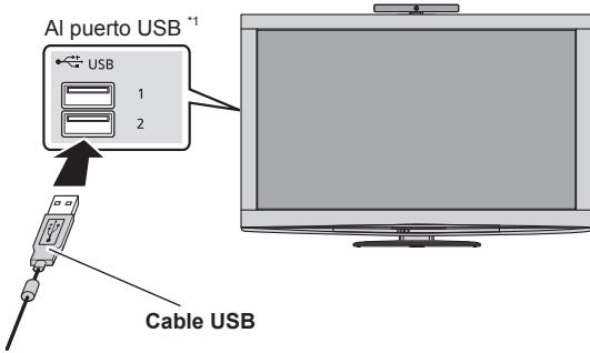PANASONIC TY-CC20W - Conexión - 1