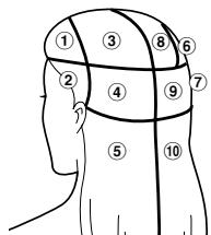 PANASONIC EH-HS95 - For beautiful straightening, bundle and pin to hold your hair in the order shown in the illustration. - 1
