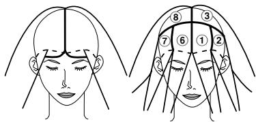 PANASONIC EH-HS95 - How to bundle your hair - 1
