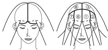 PANASONIC EH-HW32 - Per raccogliere i capelli in cicche - 1