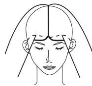 PANASONIC EH-HW32 - Comment regrouper vos cheveux - 1