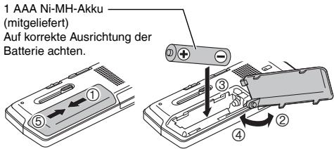 PANASONIC RR-XS410E - Einlagen der Batterie - 1