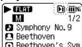 FLAT M 1/2 Symphony No. 9 Beethoven Beethoven's Sym