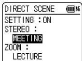 DIRECT SCENE SETTING : ON STEREO : MEETING ZOOM : LECTURE
