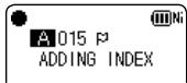 A 015 P ADDING INDEX