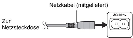 Netzkabel (mitgeliefert) Zur Netzsteckdose AC IN ~