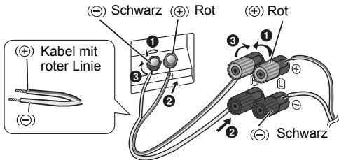 (+) Kabel mit roter Linie (-) (-) (-) Schwarz Rot 1 3 2 3 1 (+) Rot 2 (-) Schwarz