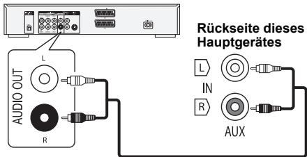 Rückseite dieses Hauptgerätes L IN R AUX