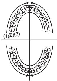PANASONIC EW-DL82 - Prima di pulire i denti - 3