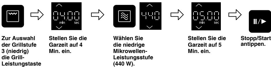 PANASONIC HLS-X485B - Beispiel - 1