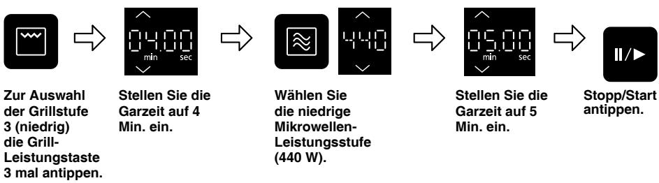 PANASONIC HLS-X485S - Beispiel - 1
