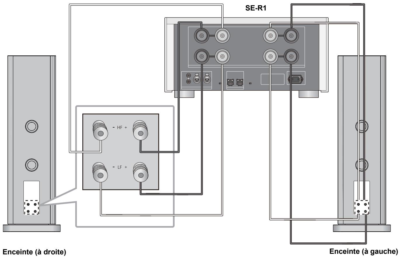 PANASONIC SB-R1-E - ■ Branchement bi-câblage - 1