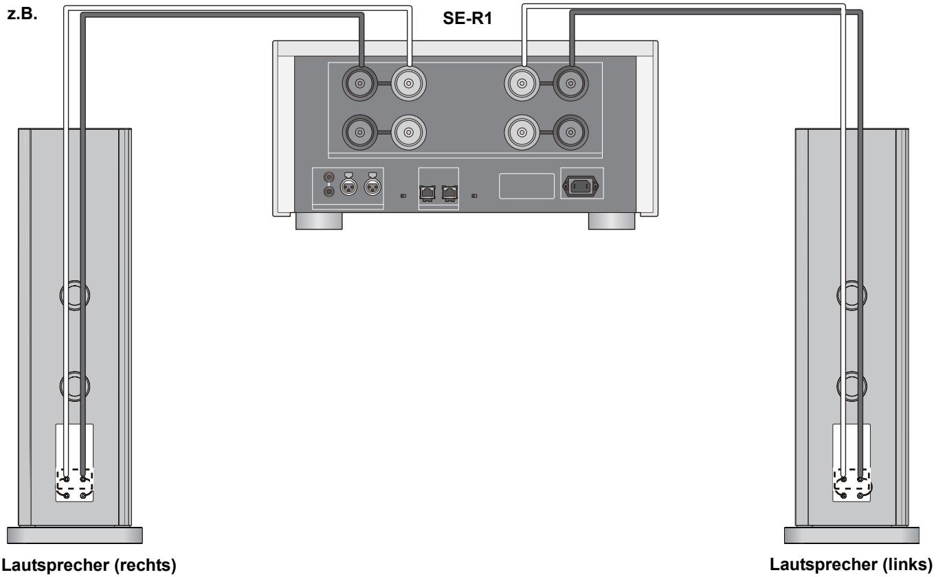 PANASONIC SB-R1-E - ■ Einfache Kabelverbindung - 2