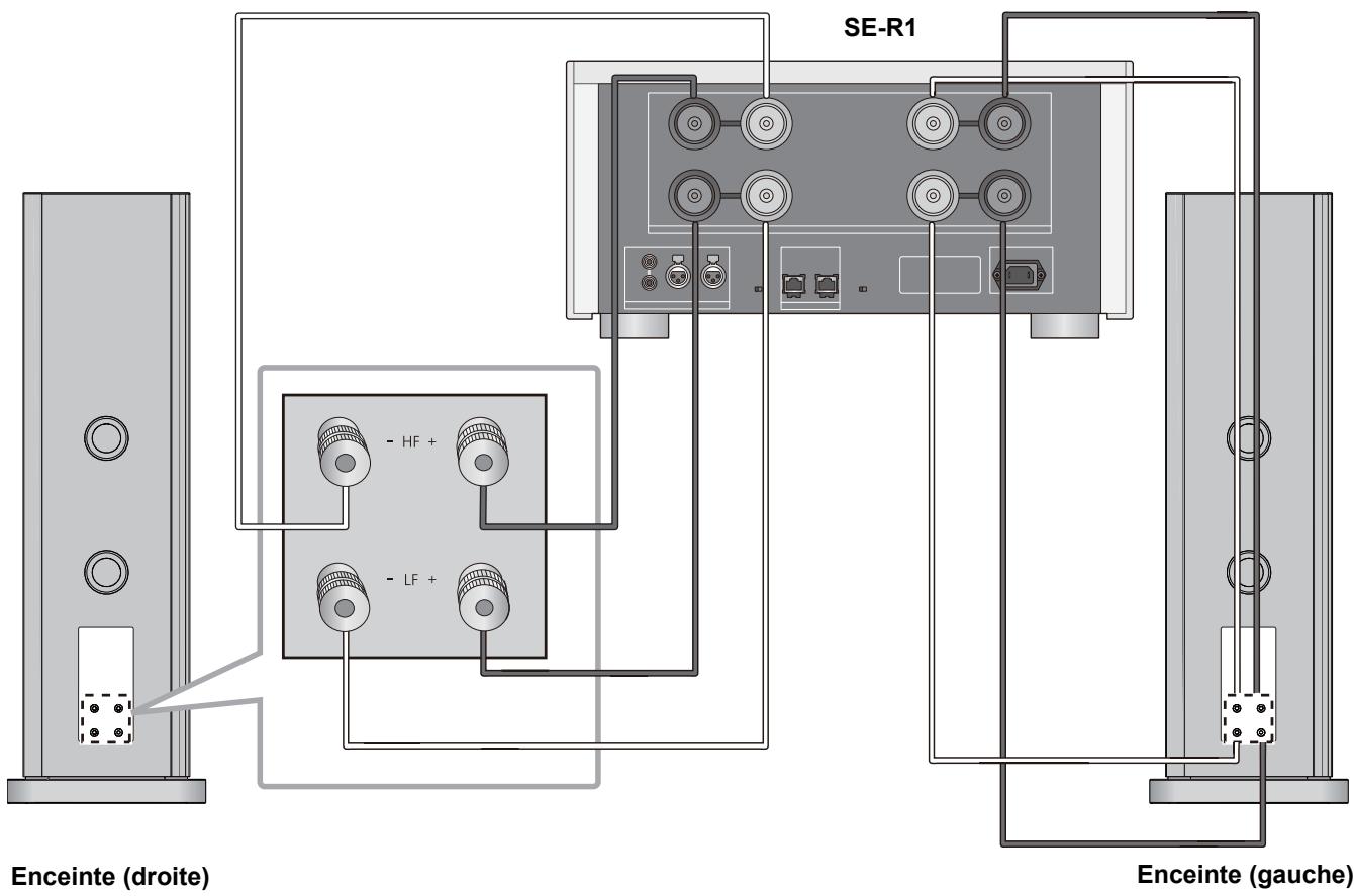 PANASONIC SB-R1-E - ■ Raccordement double - 1