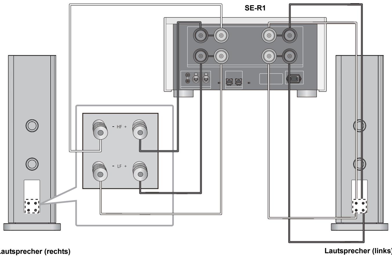PANASONIC SB-R1-E - ■ Bi-Wiring-Verbindung - 1