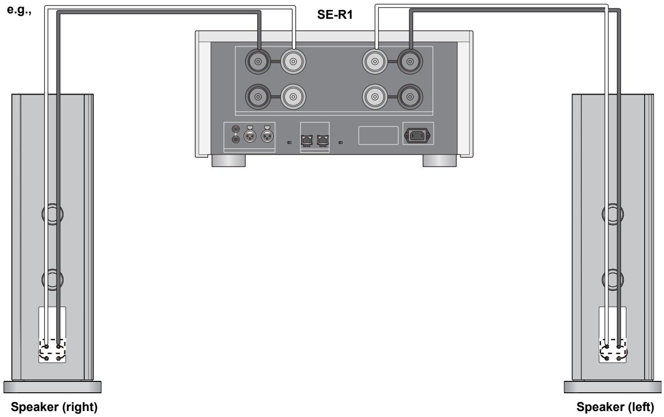 PANASONIC SB-R1-E - ■ Single wiring connection - 2