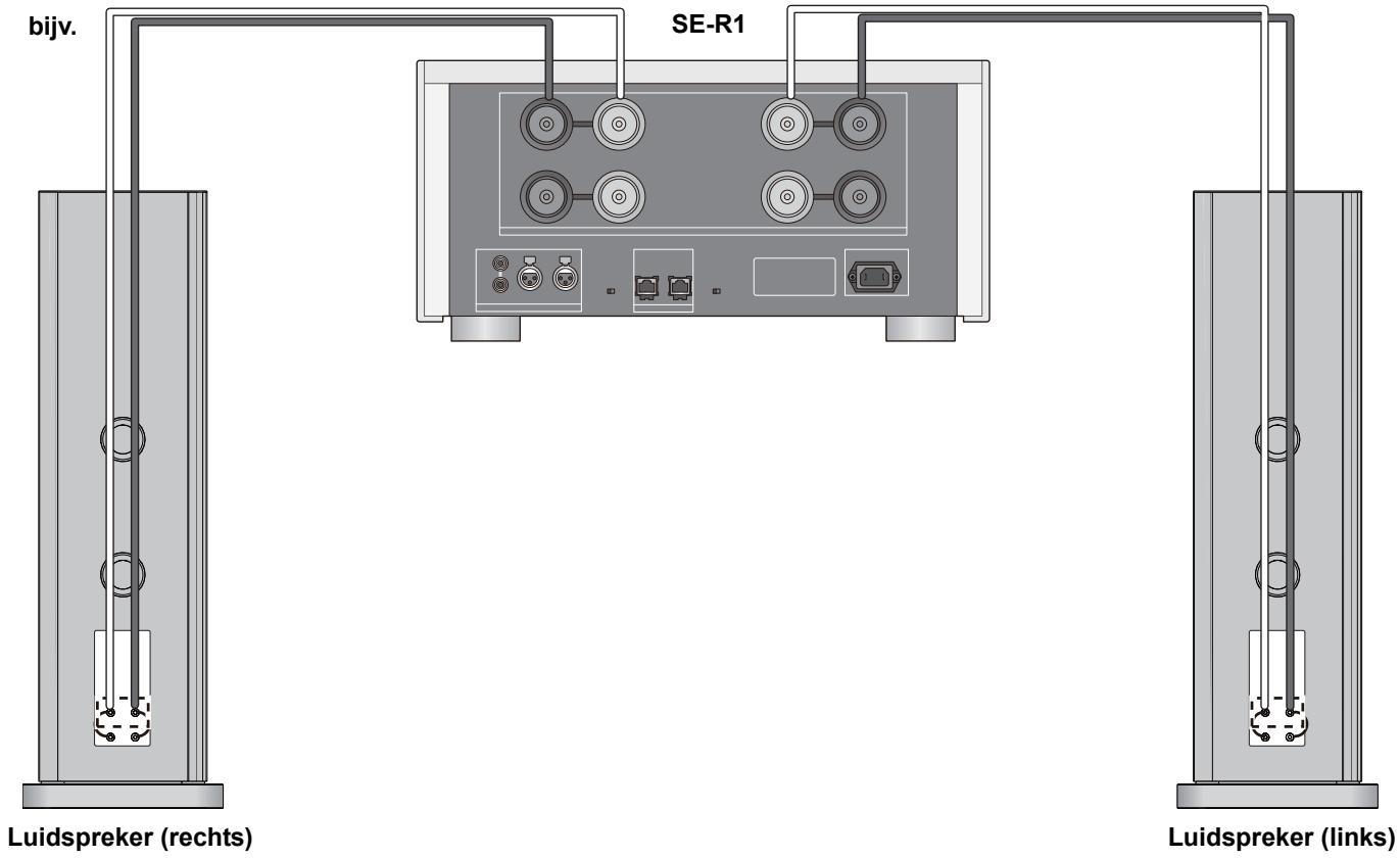PANASONIC SB-R1-E - ■ Verbinding met één draad - 2