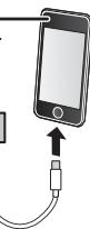 PANASONIC SC-PMX100BEG - iPhone/iPad/iPod oder USB-Gerät - 1