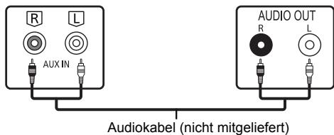 PANASONIC SC-PMX100BEG - Anschluss von anderen Geräten - 1