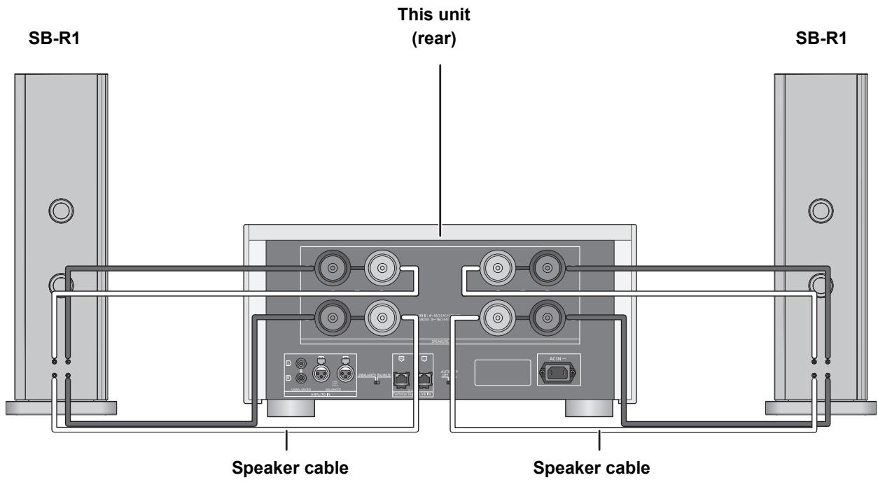 PANASONIC SE-R1-EB - Bi-wiring connection - 1