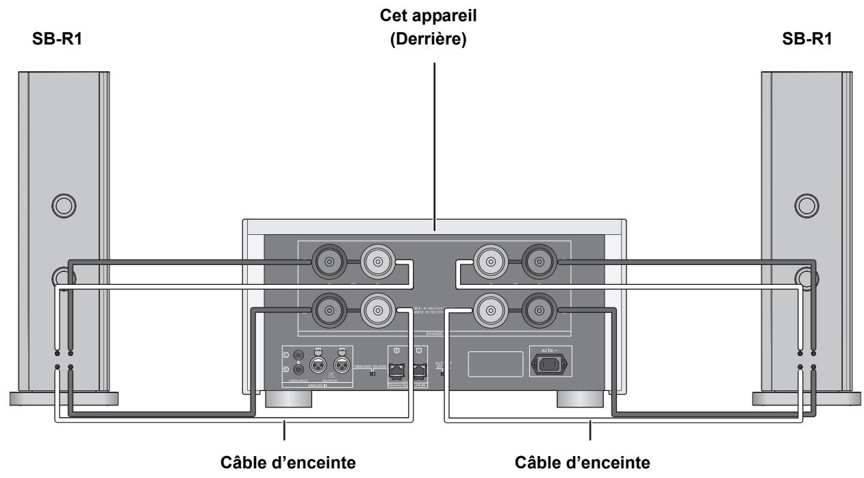 PANASONIC SE-R1-EB - Raccordement double - 1