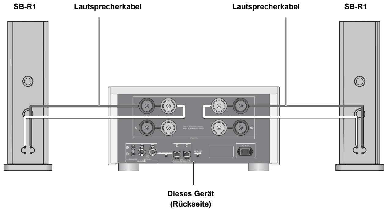 PANASONIC SE-R1-EB - Einfache Kabelverbindung - 1