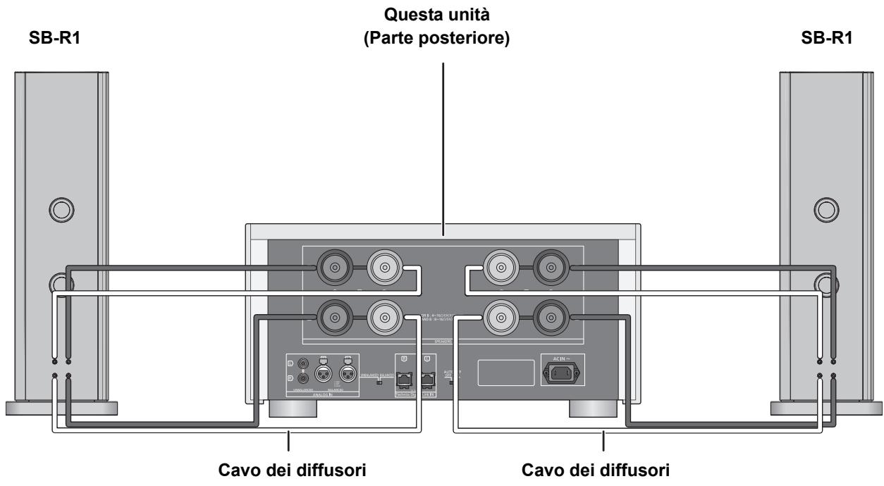 PANASONIC SE-R1-EB - Connessione bi-wiring - 1