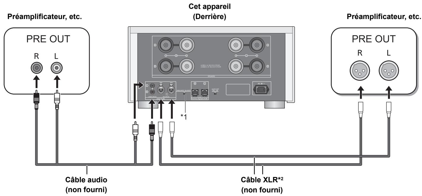 PANASONIC SE-R1-EG - Branchement aux dispositifs de sortie audio analogiques - 1