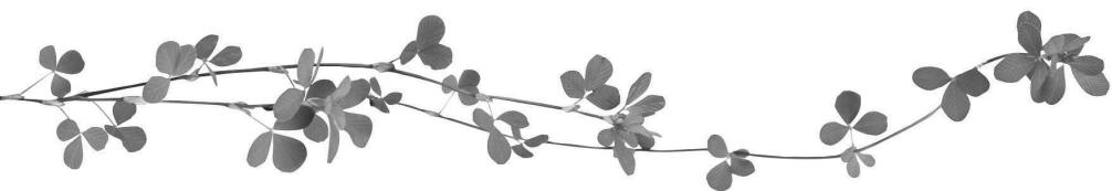Black-and-white illustration of a leafy branch with five heart-shaped leaves (no text or symbols)
