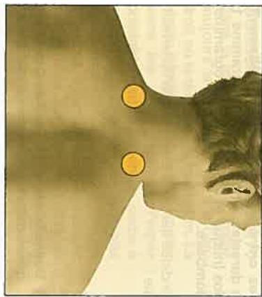 PANASONIC EW-433 - L'affichage - 5